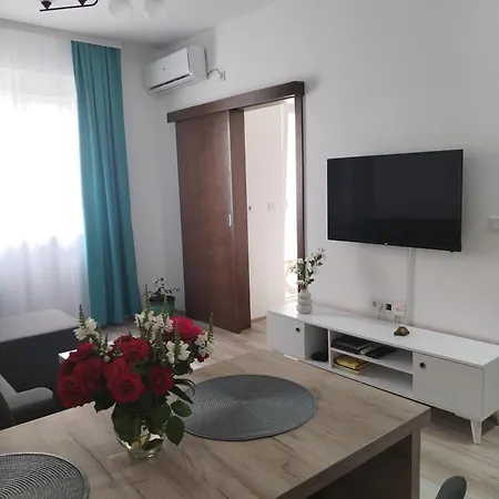 Simijonovic Apartment